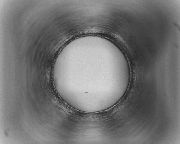 X0000099521217200806051203