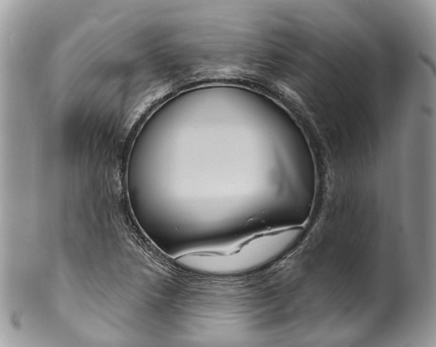 X0000099521218200806051203