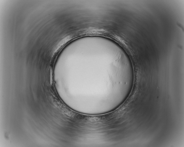 X0000099521219200806051203