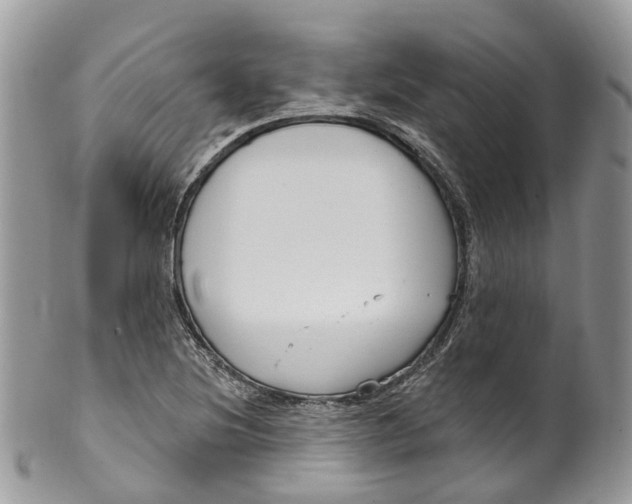 X0000099521220200806051203