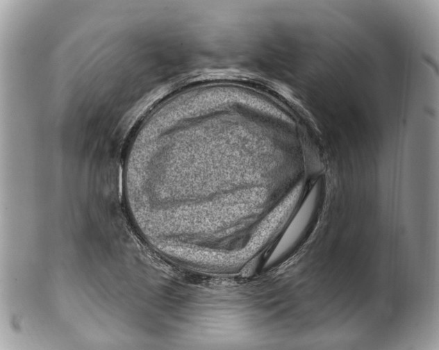 X0000099521221200806051203