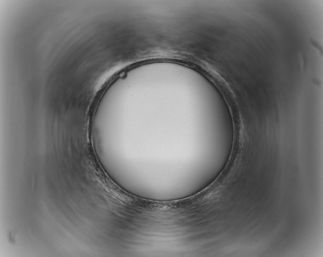 X0000099521222200806051203