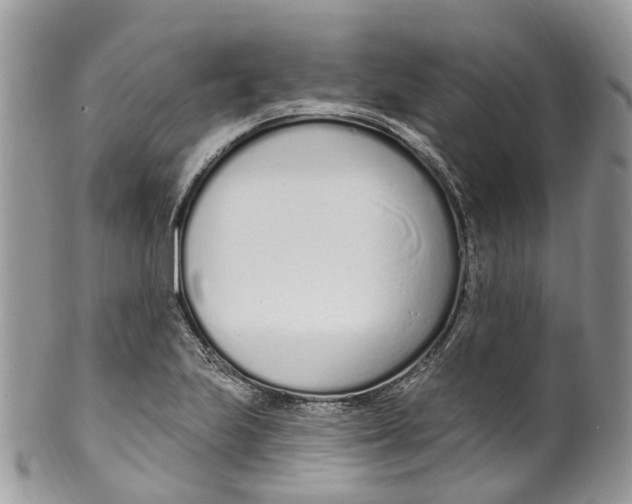 X0000099521223200806051203