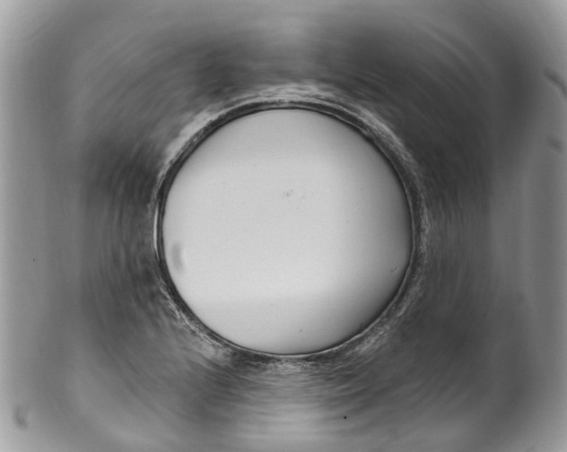 X0000099521224200806051203