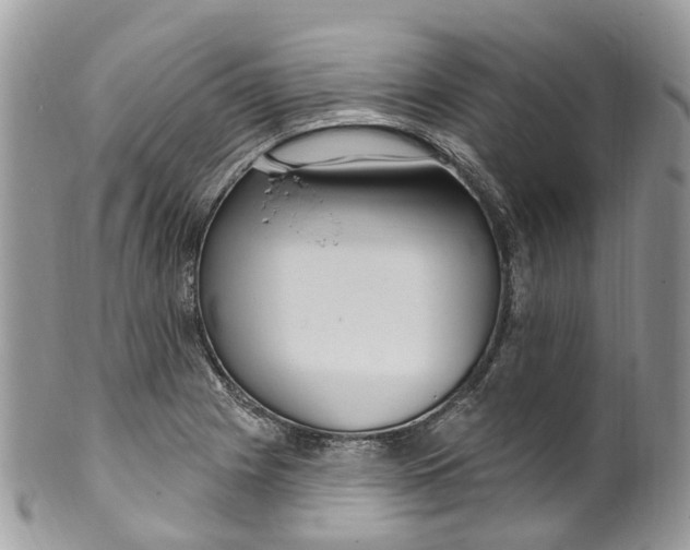 X0000099521225200806051203