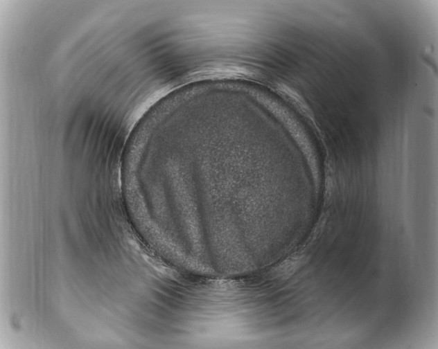 X0000099521226200806051203