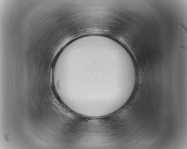 X0000099521227200806051203