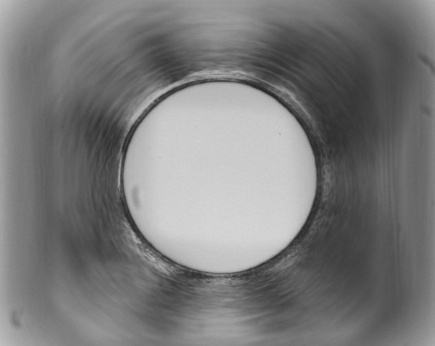 X0000099521228200806051203