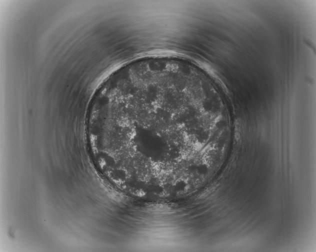 X0000099521229200806051203