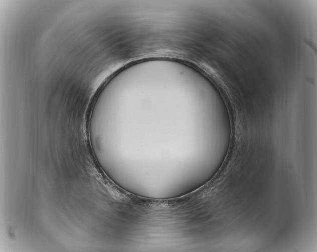 X0000099521230200806051203