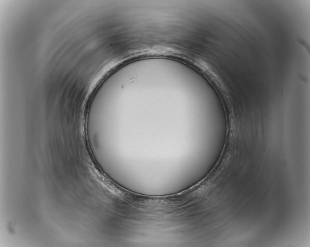 X0000099521232200806051203