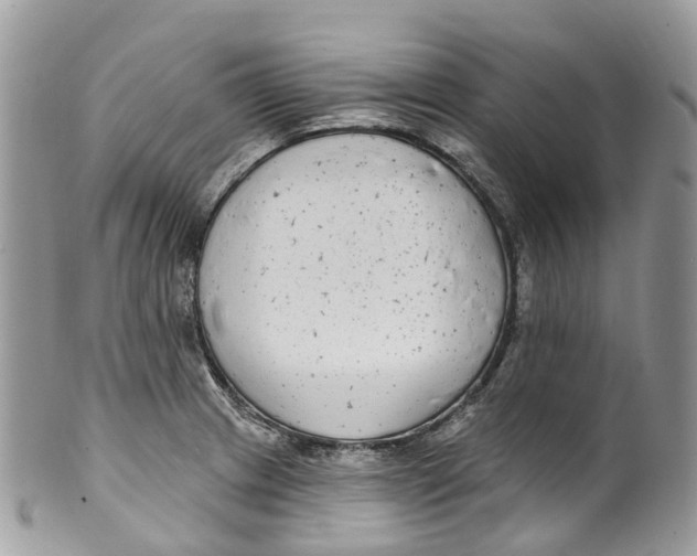 X0000099521233200806051203