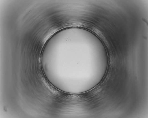 X0000099521234200806051203