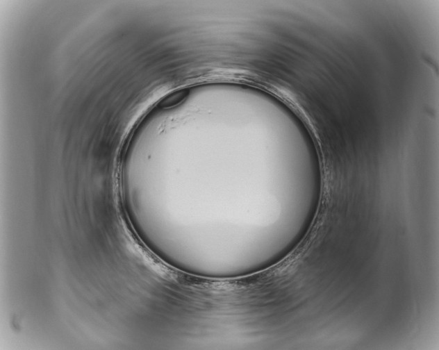 X0000099521235200806051203