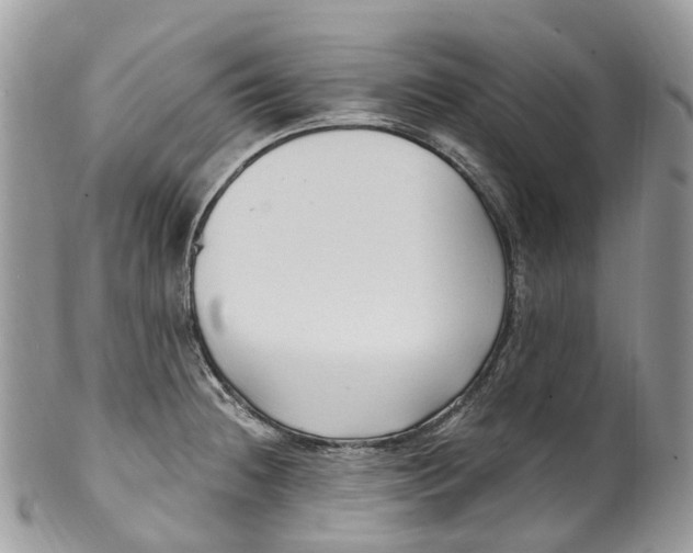 X0000099521236200806051203