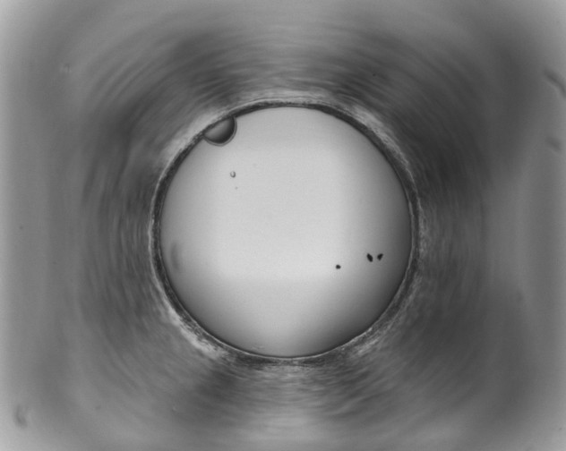 X0000099521237200806051203