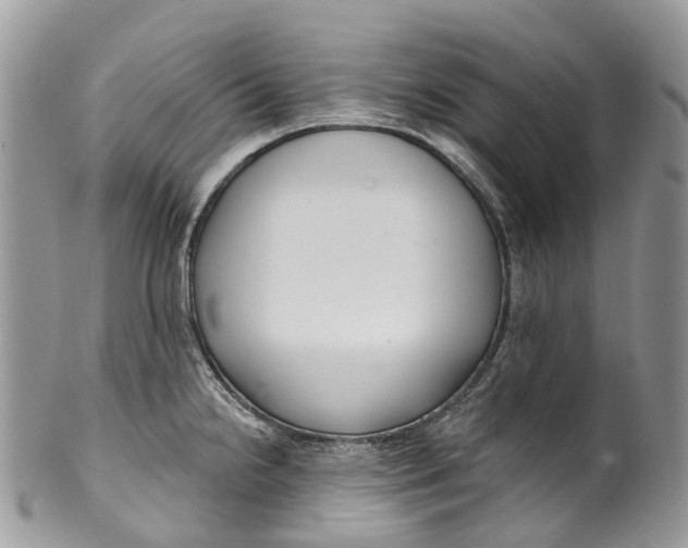 X0000099521238200806051203