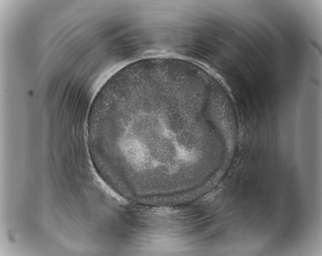 X0000099521239200806051203