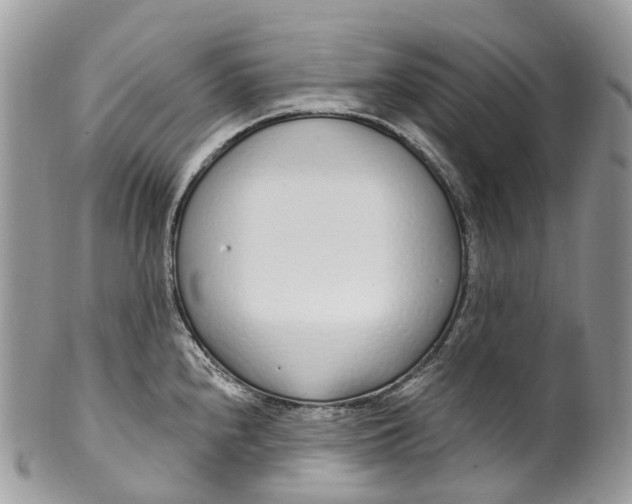 X0000099521240200806051203