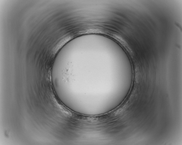 X0000099521241200806051203