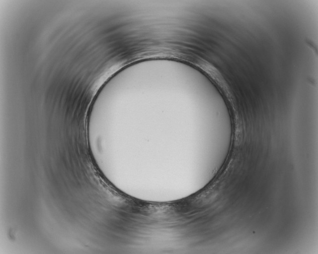 X0000099521242200806051203