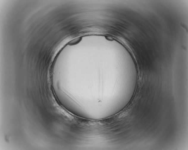 X0000099521243200806051203