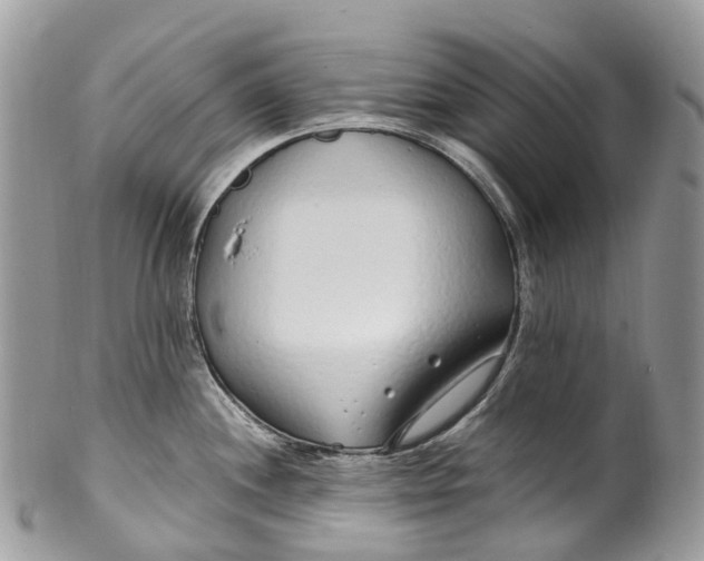 X0000099521244200806051203