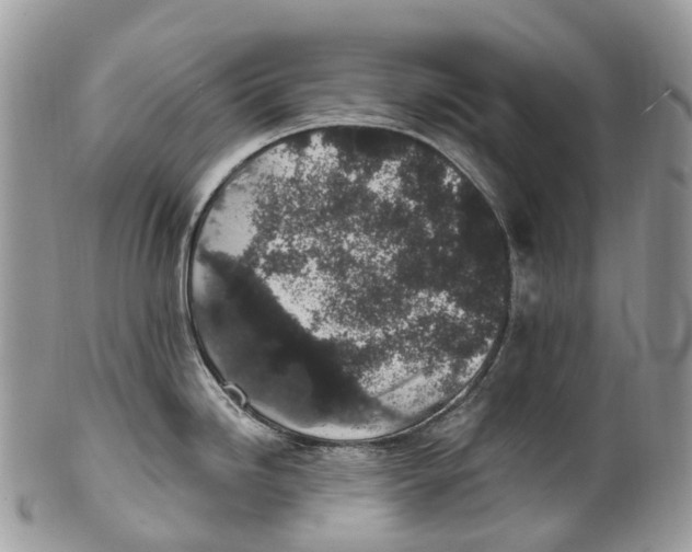 X0000099521246200806051203