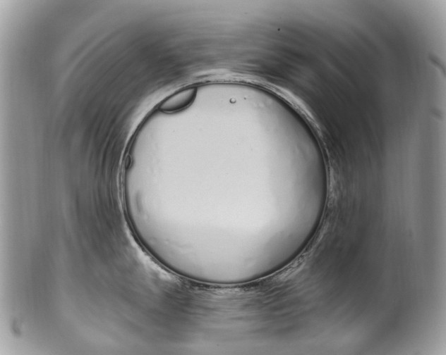 X0000099521247200806051203