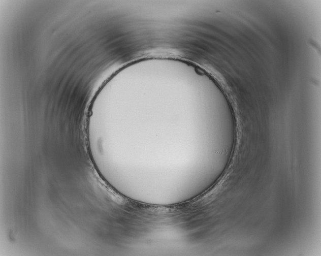 X0000099521248200806051203