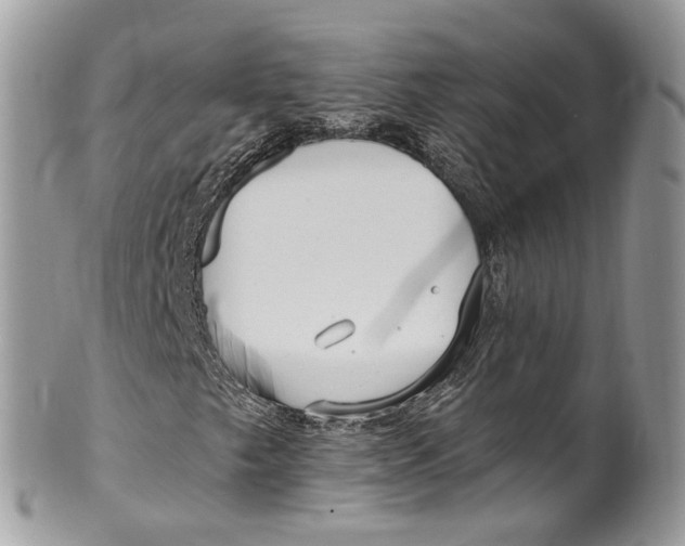 X0000099521249200806051203