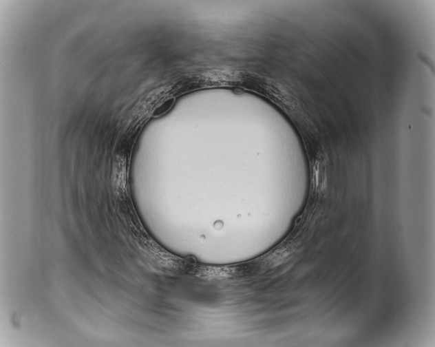 X0000099521251200806051203