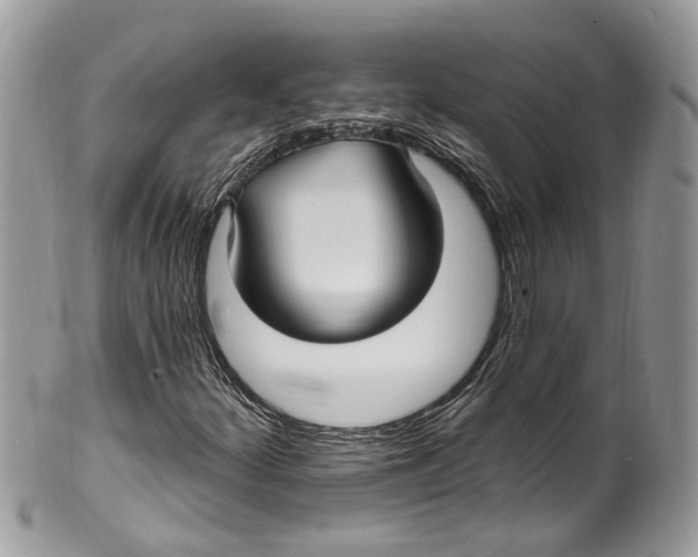 X0000099521252200806051203