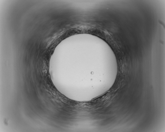 X0000099521253200806051203