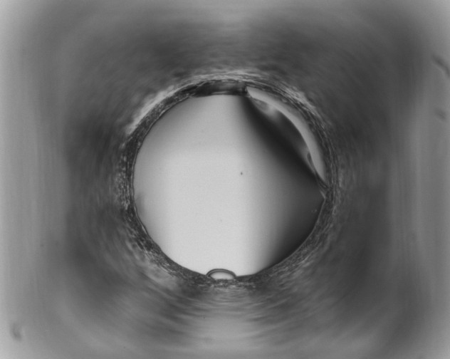 X0000099521256200806051203