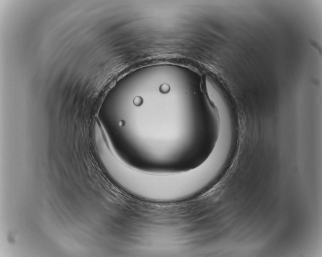 X0000099521257200806051202