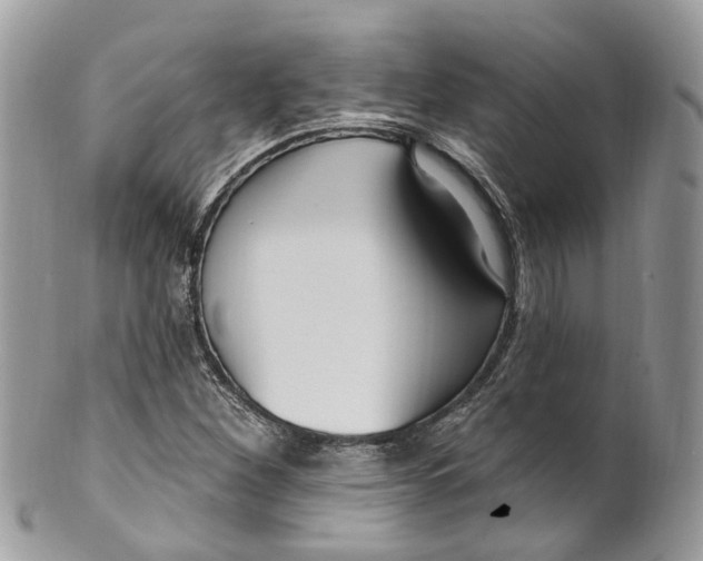 X0000099521260200806051202