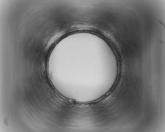 X0000099521261200806051202