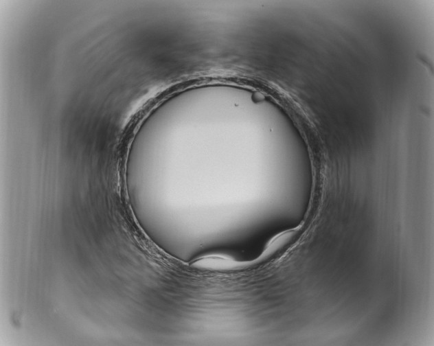 X0000099521262200806051202