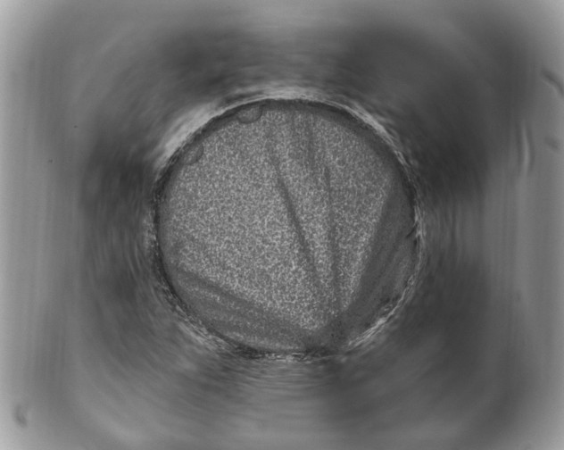 X0000099521263200806051202