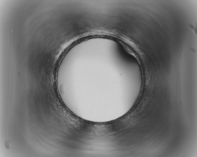 X0000099521264200806051202