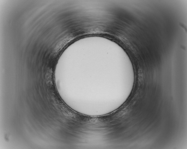 X0000099521265200806051202