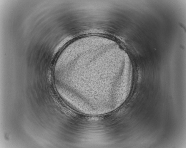 X0000099521266200806051202