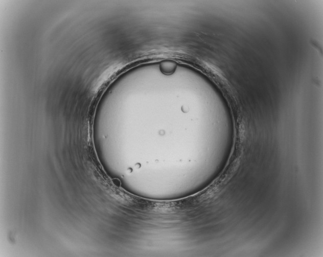 X0000099521267200806051202