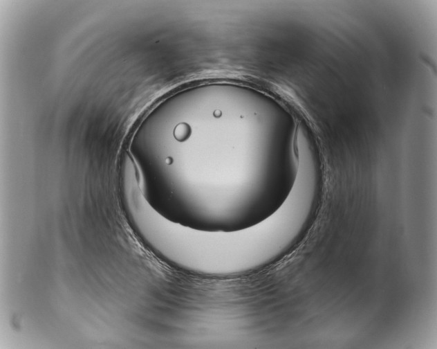 X0000099521268200806051202