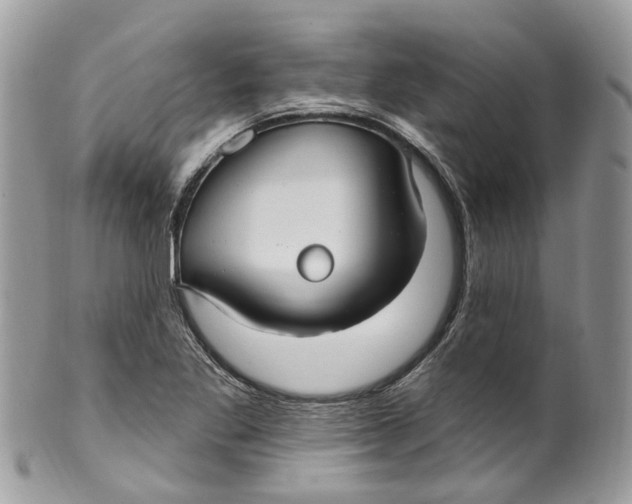 X0000099521269200806051202