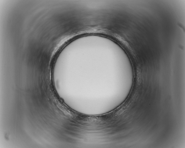 X0000099521270200806051202