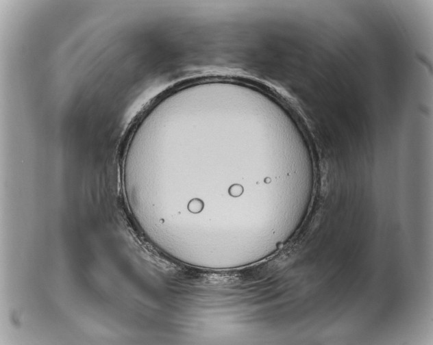 X0000099521271200806051202