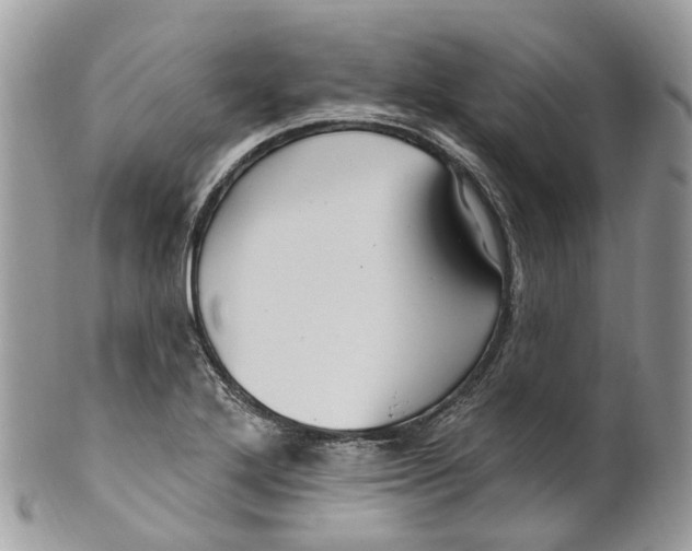 X0000099521272200806051202