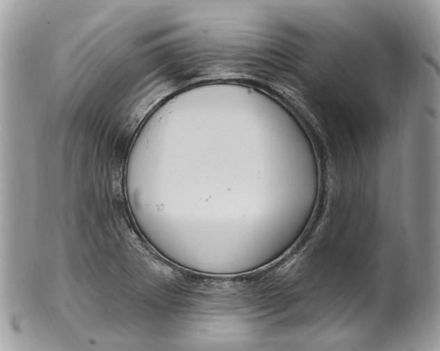 X0000099521273200806051202